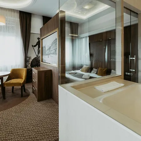 Duna Wellness 4*
